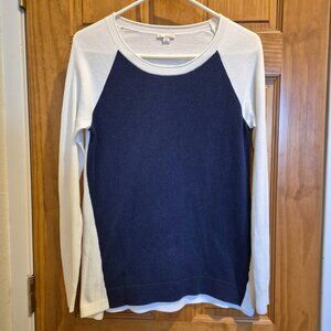 Gap Blue and White Sweater